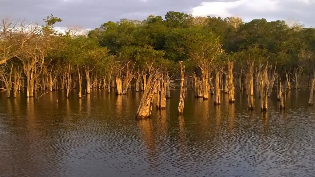 Pousada Recanto Maguary Alter do Chão Exteriér fotografie