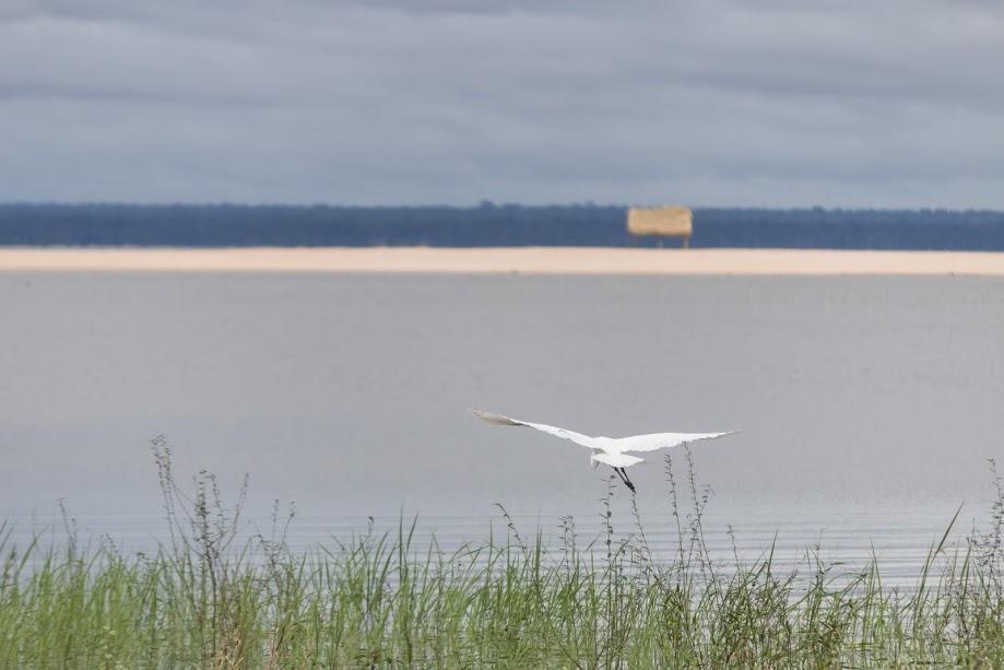 Pousada Recanto Maguary Alter do Chão Exteriér fotografie